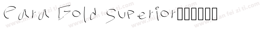 Para Bold Superior字体转换